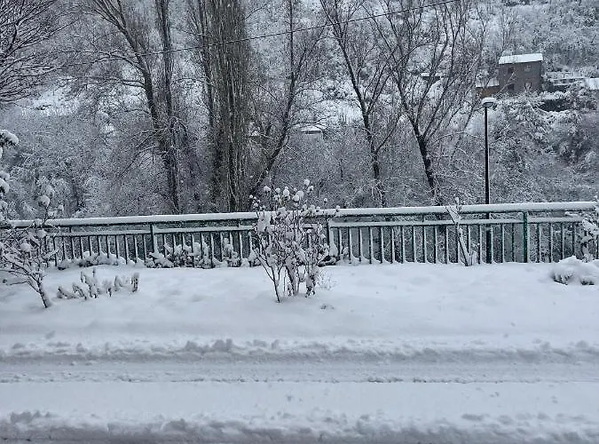 Neverending Nature León *