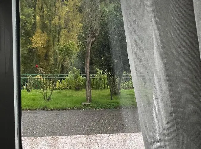 Neverending Nature León Tremor de Arriba